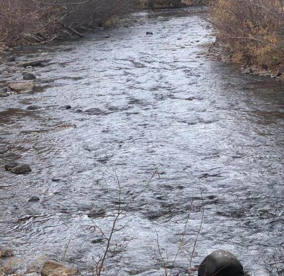 מוטל Down Home Lodge & Family Rv Resort