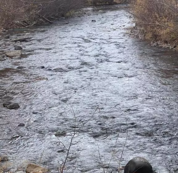 Motelli Down Home Lodge & Family Rv Resort