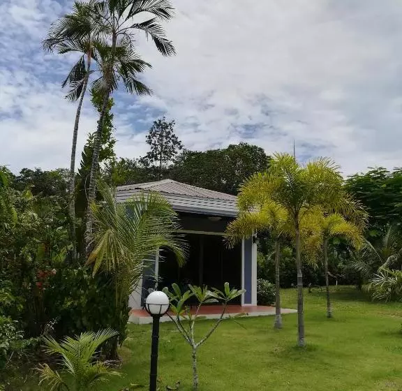ペンション Green Tree Cottage