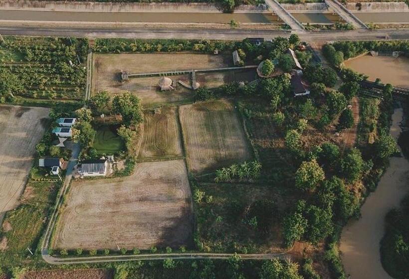 פנסיון Nana Field Cabin 2