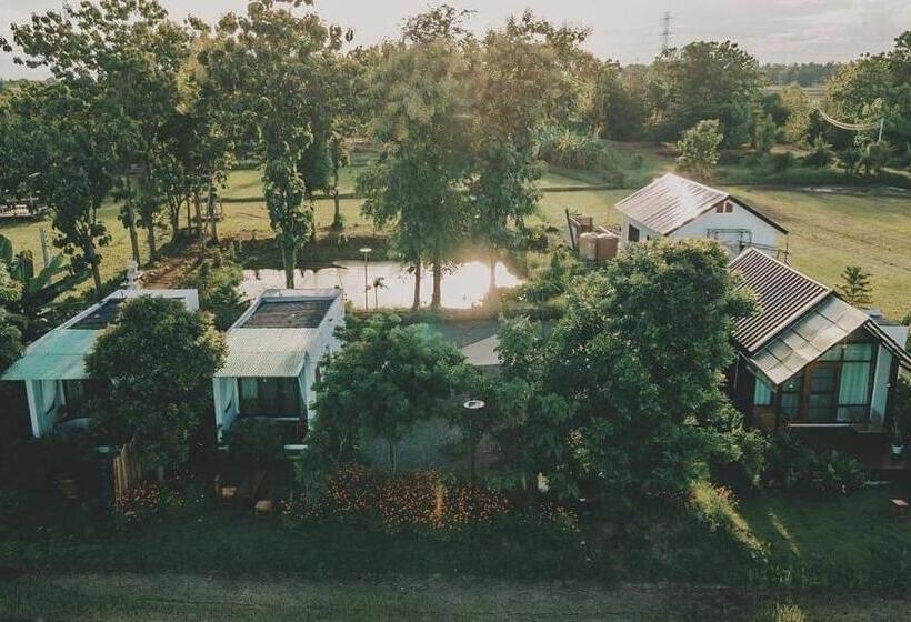 פנסיון Nana Field Cabin 2