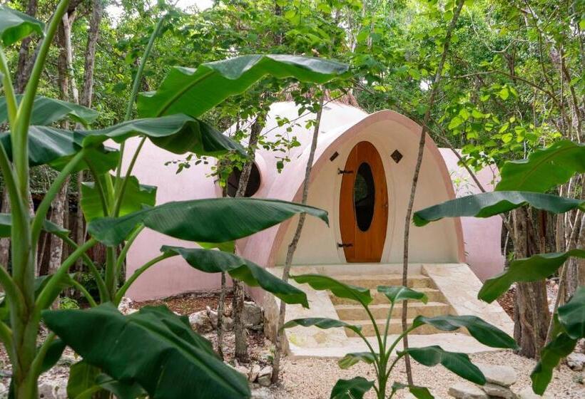 بنسيون Room In Lodge   Eco Lush Double Mayan Dome Cenote And Bikes