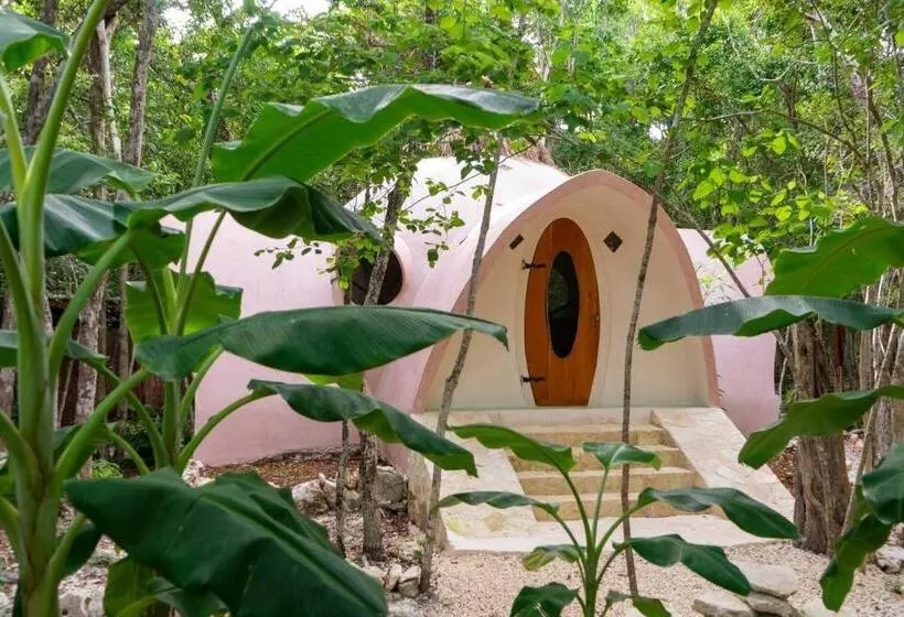 ペンション Room In Lodge   Eco Lush Double Mayan Dome Cenote And Bikes
