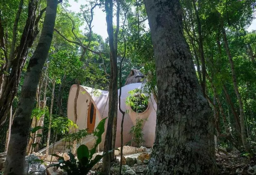 ペンション Room In Lodge   Eco Lush Double Mayan Dome Cenote And Bikes