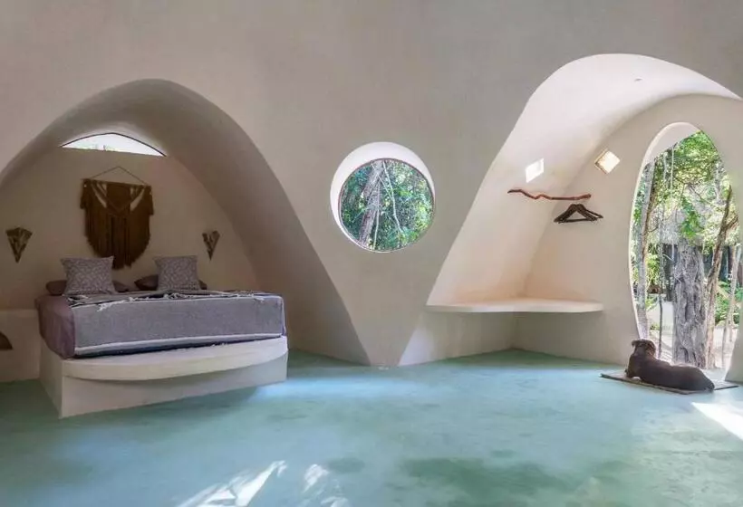 ペンション Room In Lodge   Eco Lush Double Mayan Dome Cenote And Bikes