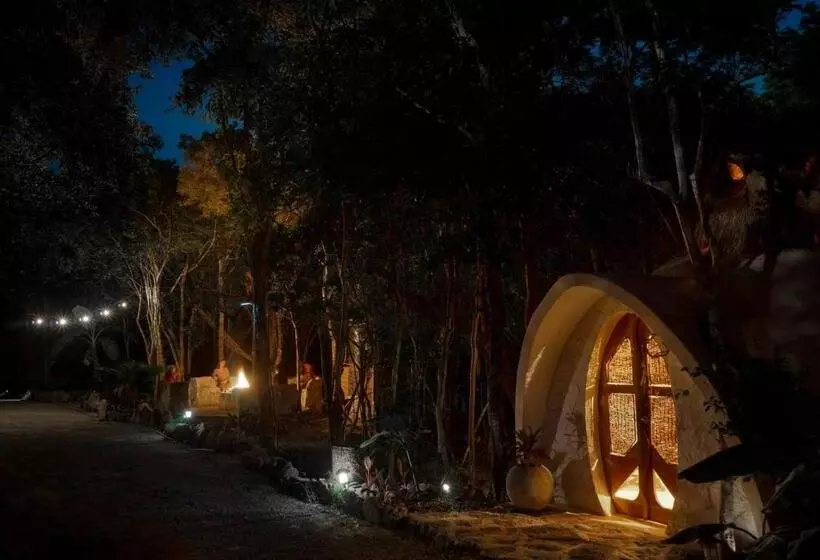 ペンション Room In Lodge   Eco Lush Double Mayan Dome Cenote And Bikes