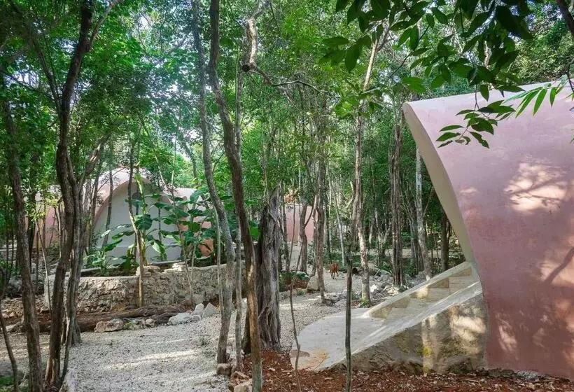 ペンション Room In Lodge   Eco Lush Double Mayan Dome Cenote And Bikes