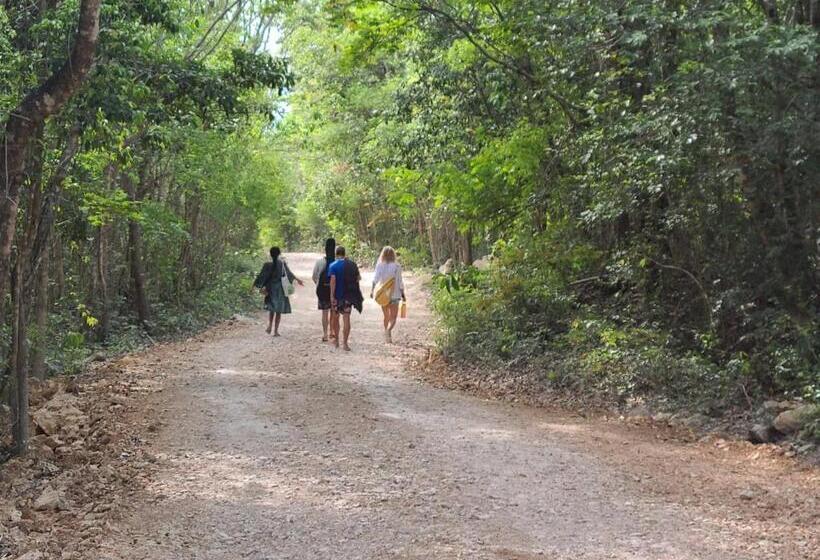 פנסיון Room In Lodge   Eco Lush Double Mayan Dome Cenote And Bikes