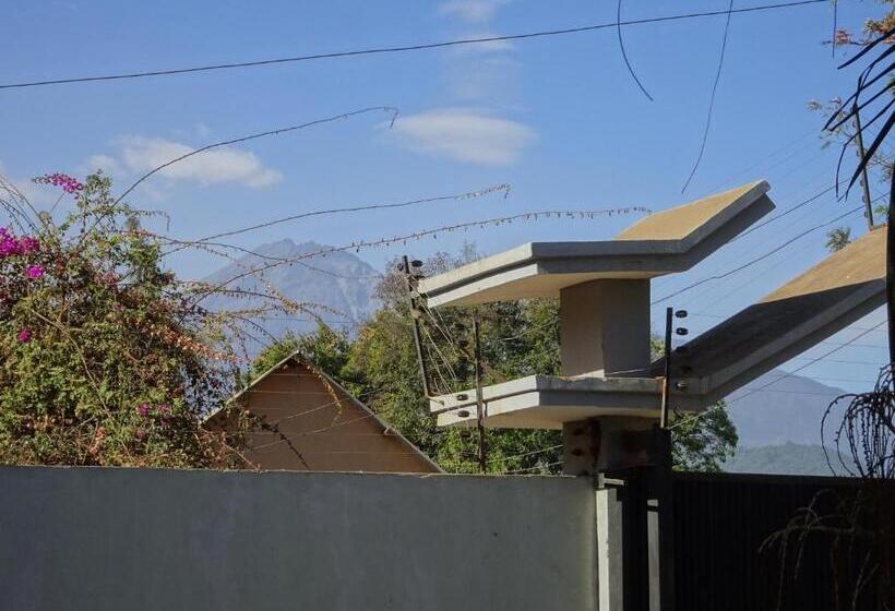 پانسیون Tropicana House