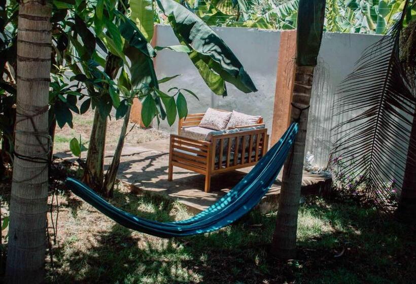 پانسیون Tropicana House