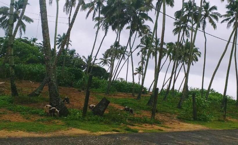 بنسيون Villa Mare