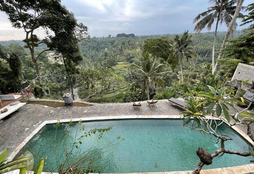 住宿加早餐  Bali Maison