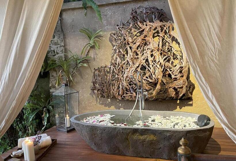 住宿加早餐  Bali Maison