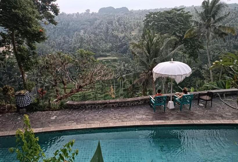 住宿加早餐  Bali Maison