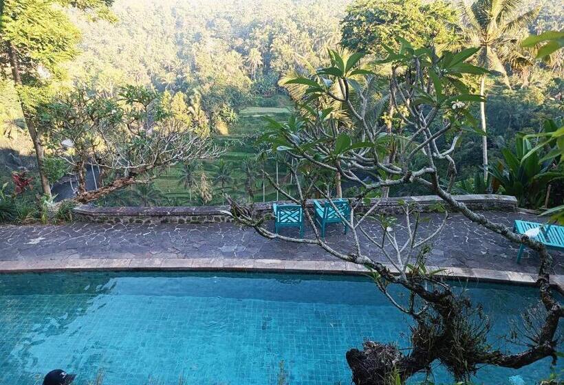 住宿加早餐  Bali Maison