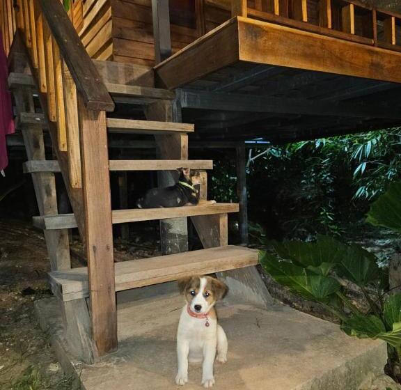 Bed and Breakfast Rommai Forest Bungalows