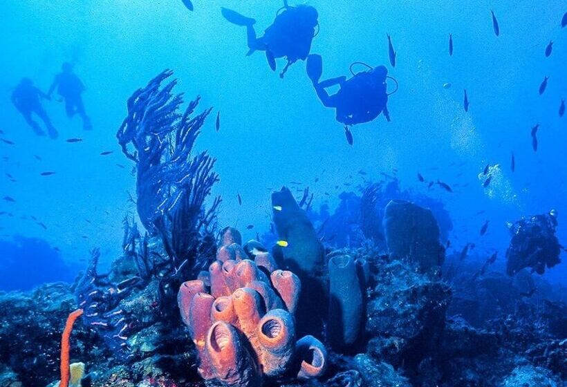 هتل Conch Club Cottage