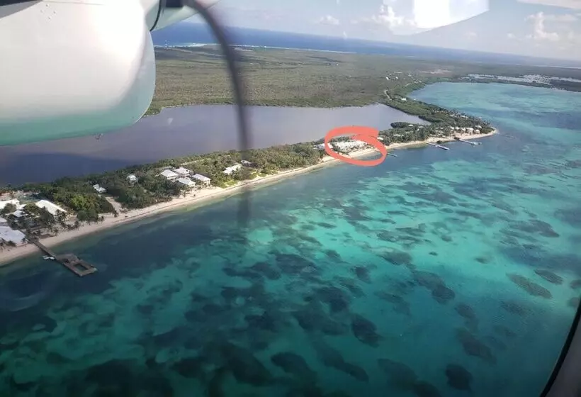 هتل Conch Club Cottage