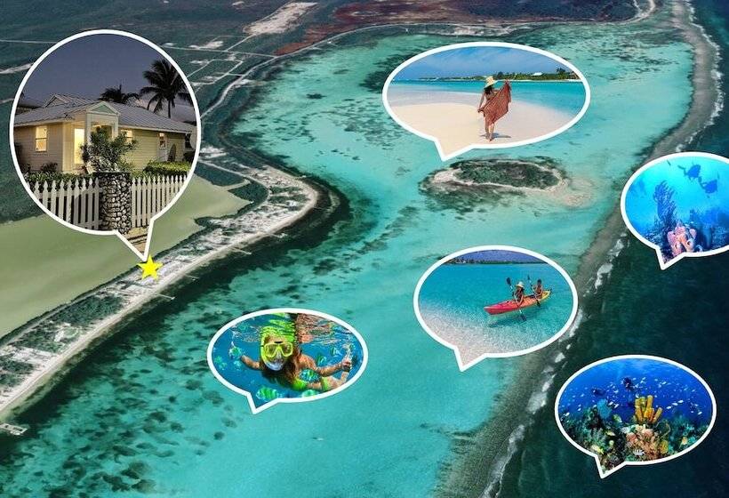 هتل Conch Club Cottage