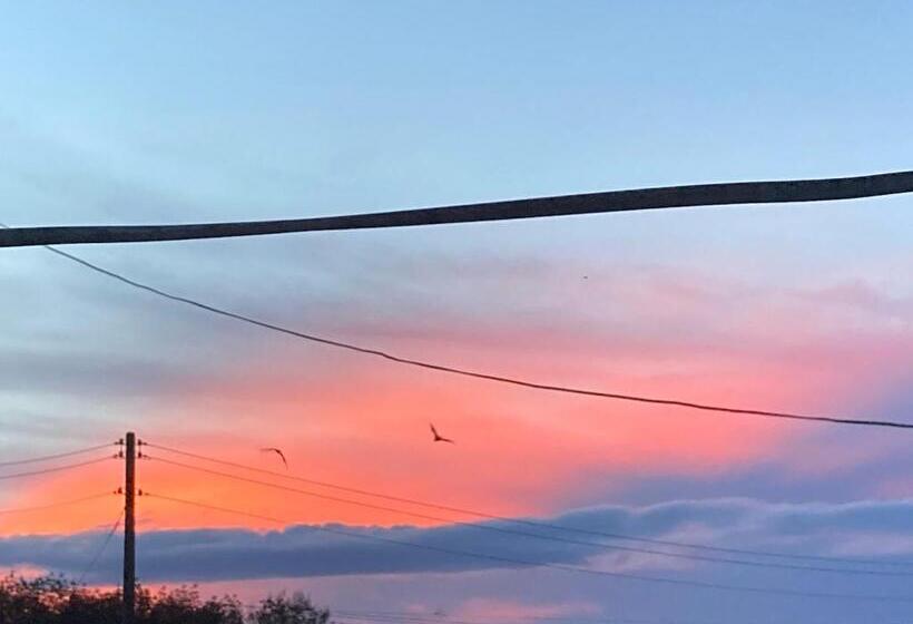 Pansiyon เดอะกรีนฟอเรสท์ รีสอร์ท