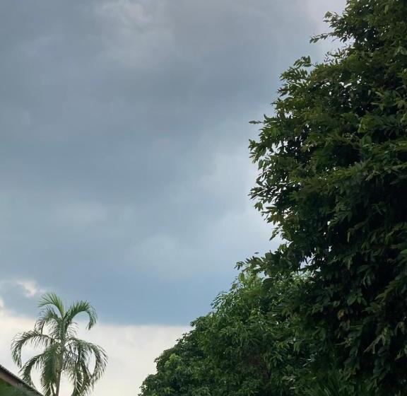 Pansiyon เดอะกรีนฟอเรสท์ รีสอร์ท