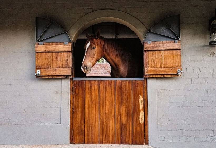 هتل The Peech Boutique