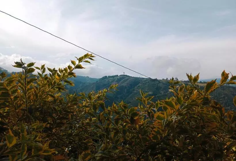 ユースホステル Hospedaje Mirador La Floresta