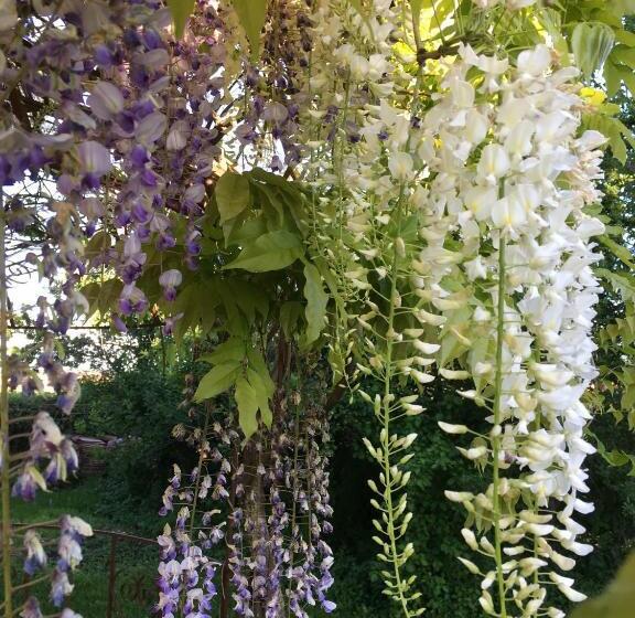 호텔 Agriturismo Settelune