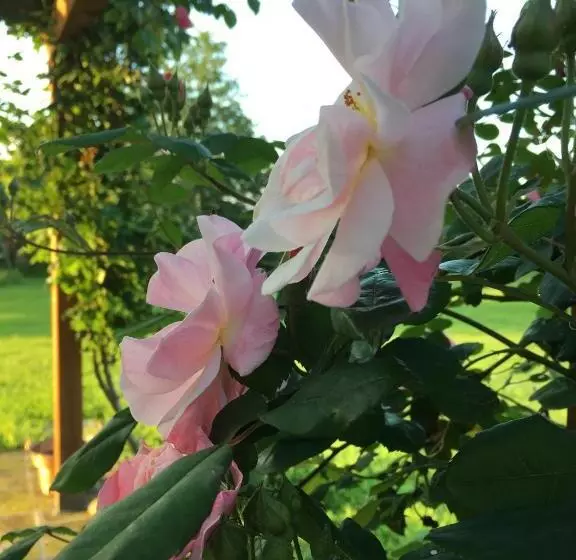 ホテル Agriturismo Settelune
