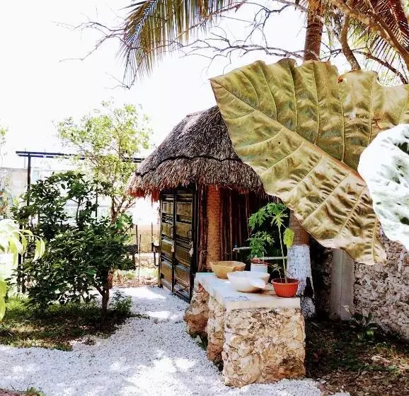 ホテル Y Museo Aldea Maya Toktli Orígenes   Casa Maya Toh   Alberca, Wifi Starlink, Tour Museo