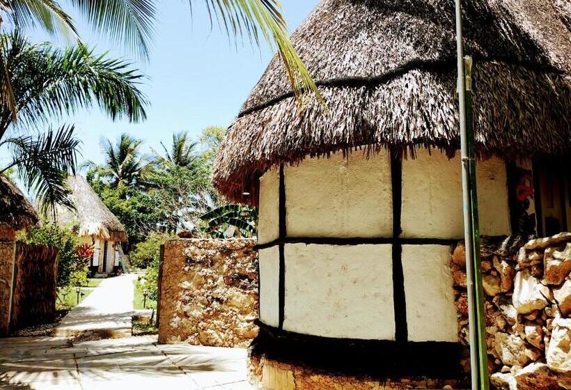 בית מלון כפרי Y Museo Aldea Maya Toktli Orígenes Casa Maya Toh Alberca, Wifi Starlink, Tour Museo