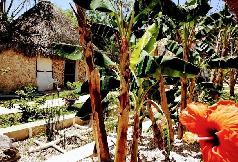 בית מלון כפרי Y Museo Aldea Maya Toktli Orígenes Casa Maya Toh Alberca, Wifi Starlink, Tour Museo