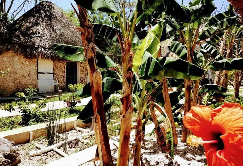 ホテル Y Museo Aldea Maya Toktli Orígenes   Casa Maya Toh   Alberca, Wifi Starlink, Tour Museo