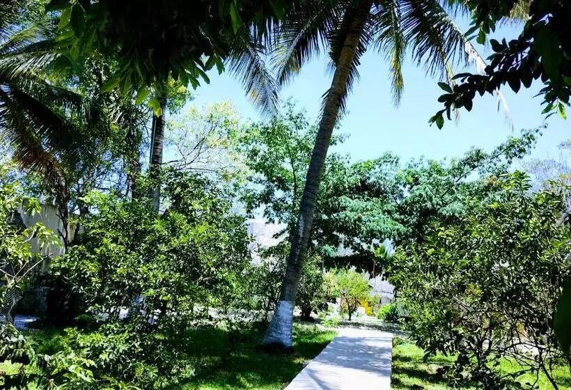 ホテル Y Museo Aldea Maya Toktli Orígenes   Casa Maya Toh   Alberca, Wifi Starlink, Tour Museo