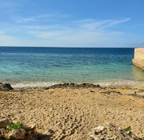 هتل Evelin S On The Beach