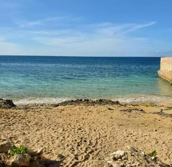 هتل Evelin S On The Beach