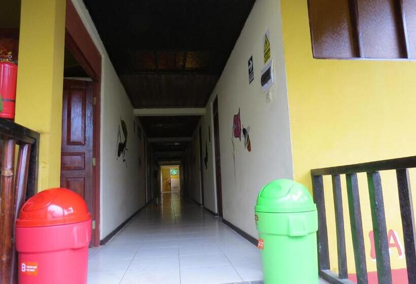 Szálloda Paraiso Pilcopata Inn