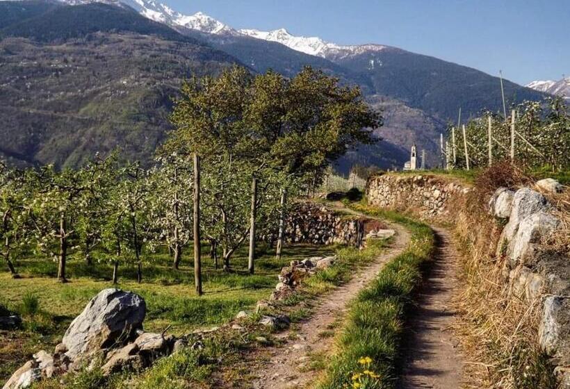 פנסיון Affittacamere Al Vicolo