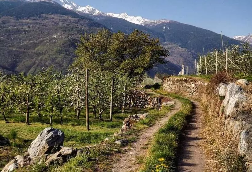 Majatalo Affittacamere Al Vicolo