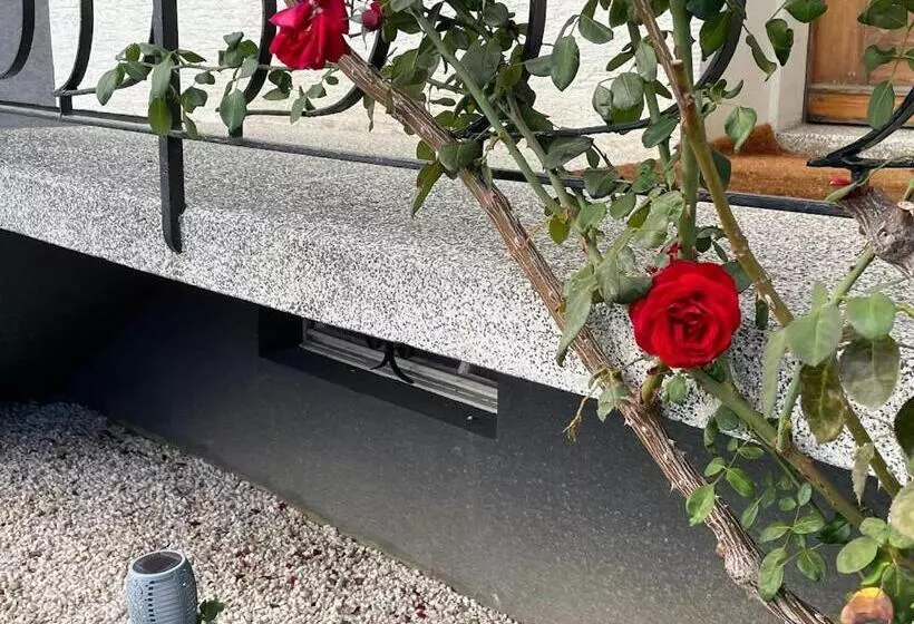 Majatalo Basel Airport Stay