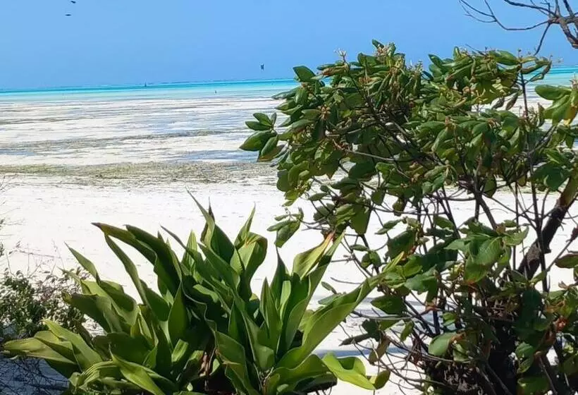 Aamiaismajoitus (B&B) Naraha Beach House