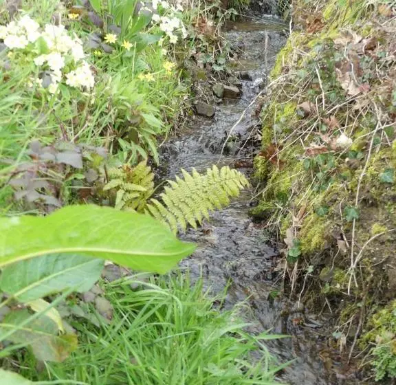 Aamiaismajoitus (B&B) Reves De Baie   Accueillant, Paisible, Vue Panoramique Exceptionnelle