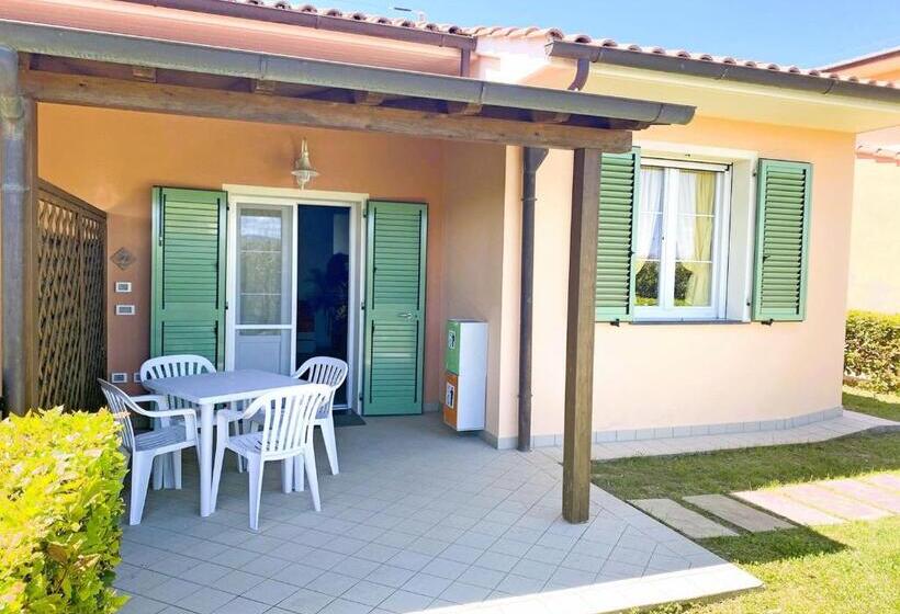 Isa Residence With Swimming Pool In Mazzanta At Only 600 Meters From The Beach, Apartments With Air