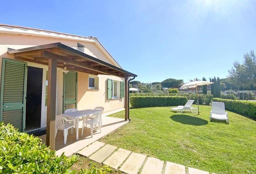 Isa Residence With Swimming Pool In Mazzanta At Only 600 Meters From The Beach, Apartments With Air