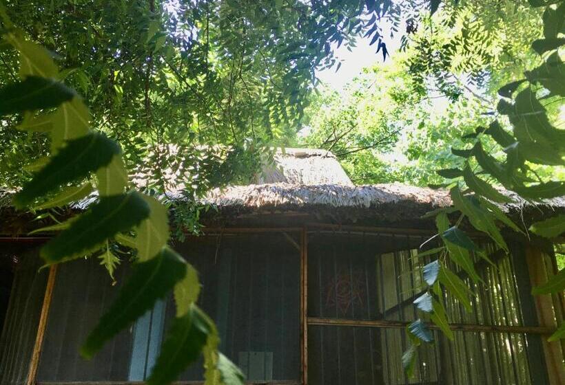 پانسیون Casa Gulf Zipolite