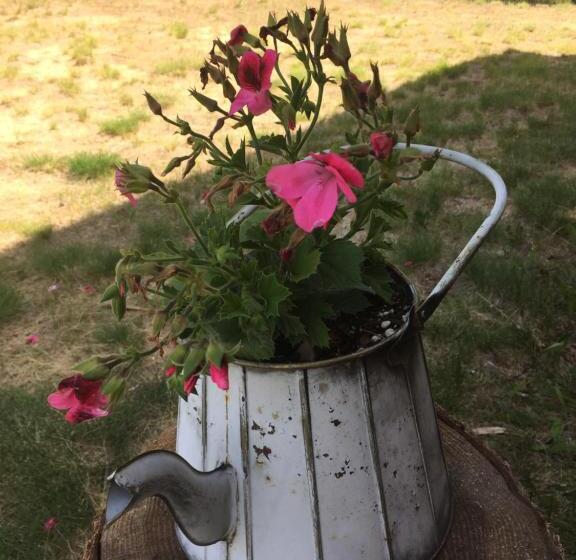 Pension Valemount Mountain Retreat Guesthouse