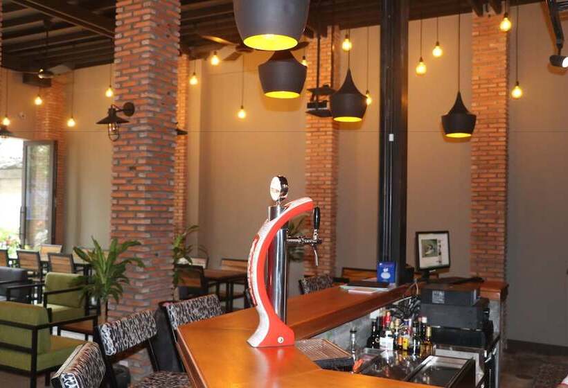 Feliz Hostel Cafe & Bar