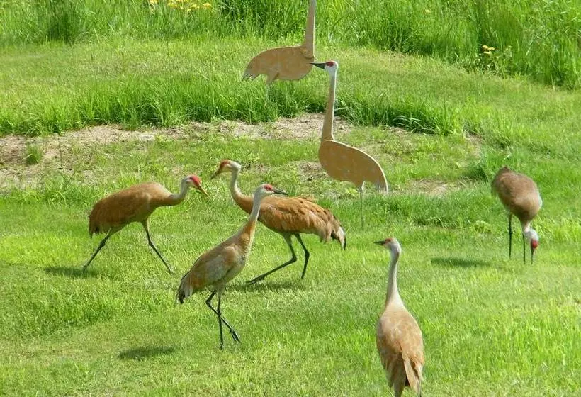 Hotelli Crane's Rest B&b