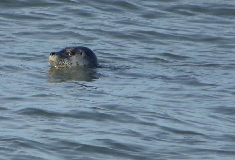 Отель Crane's Rest B&b