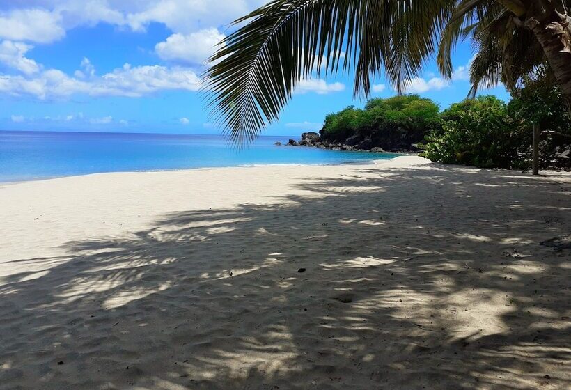 هتل Fanélie Location